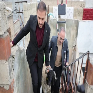 Eyyübiye’de 400 aileye büyük sürpriz!