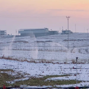 Şanlıurfa’da karla kaplı arazide kaçak elektrikle sulama!