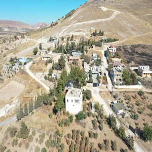 Bir garip yol hikayesi