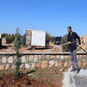 YUKARIGÖKLÜ KENT PARKI YEŞİLE BÜRÜNÜYOR