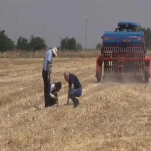 Şanlıurfa'da Anız Yangınlarına Çevreci Çözüm