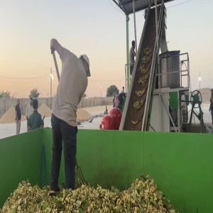 Şanlıurfa’da üreticinin yüzünü güldüren fıstık sezonu başladı