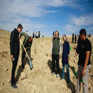 500 fidan toprakla buluştu