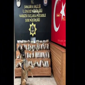Şanlıurfa’da 17 Kilo Skunk Ele Geçirildi