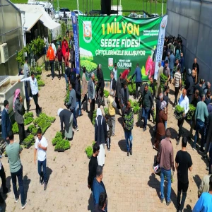 Şanlıurfa'da 1 Milyon Fide Dağıtarak Üreticiyi Destekledi