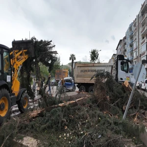 Büyükşehir, Birecik’te Afetin Yaralarını Hızlı Bir Şekilde Sarıyor