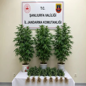Şanlıurfa’da uyuşturucuya geçit yok: Bozova’da operasyon