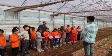 Urfa’da öğrenciler doğa ve tarımla buluşuyor Urfa’da öğrenciler doğa ve tarımla buluşuyor
