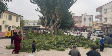 Yemyeşil Eyyübiye için çalışmalar sürüyor