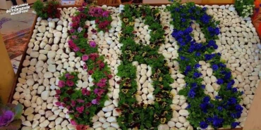 Büyükşehir seralarında kışlık sebze hasadı başladı!