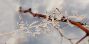 Destek çağrısı! Çiftçilerin mağduriyeti gündeme geldi!