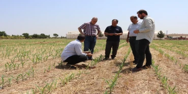 Urfa'da tarım uygulamaları model oluyor