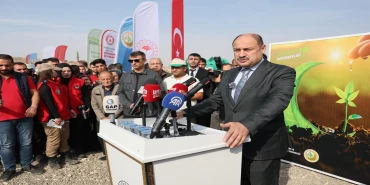 Binlerce fidan toprakla buluştu