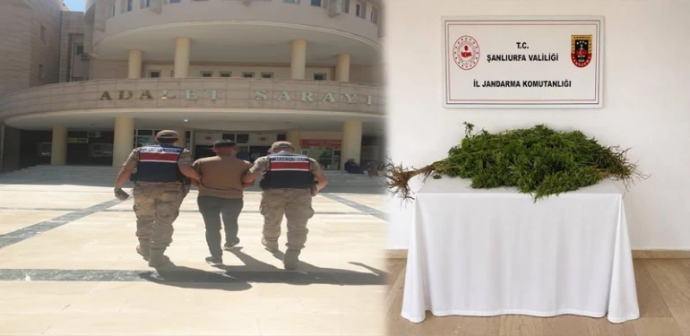 Şanlıurfa’da Jandarmadan Peş Peşe Operasyonlar