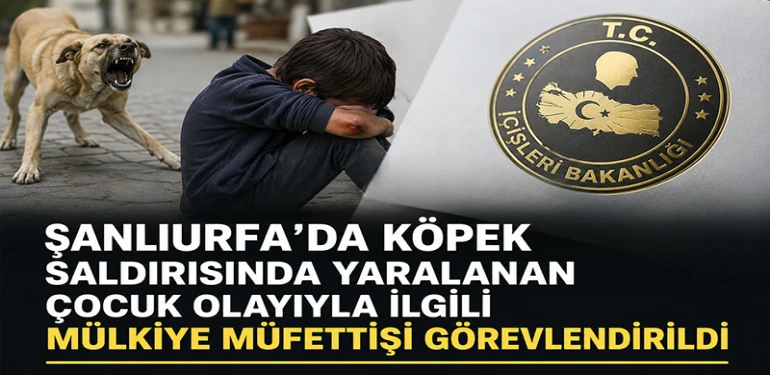 Şanlıurfa'da Köpek Saldırısına Müfettiş İncelemesi
