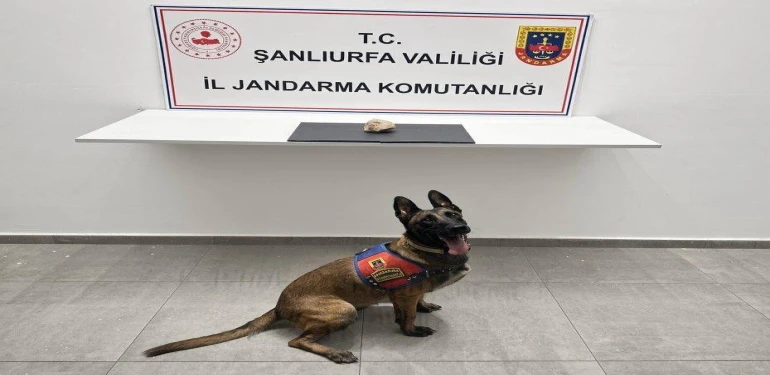Şanlıurfa Jandarmasından dev narkotik operasyonu!