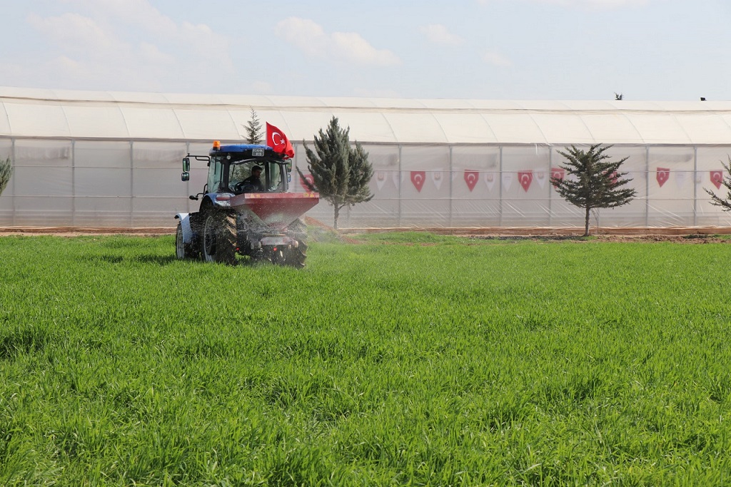 250 dekarlık alana gübre atıldı