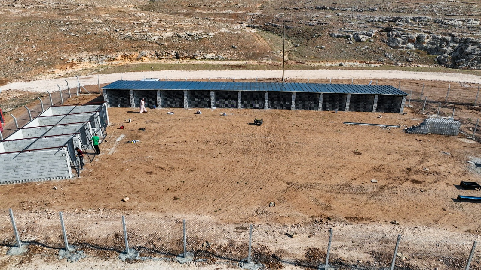 Harran belediyesi sokak hayvanlarını unutmadı