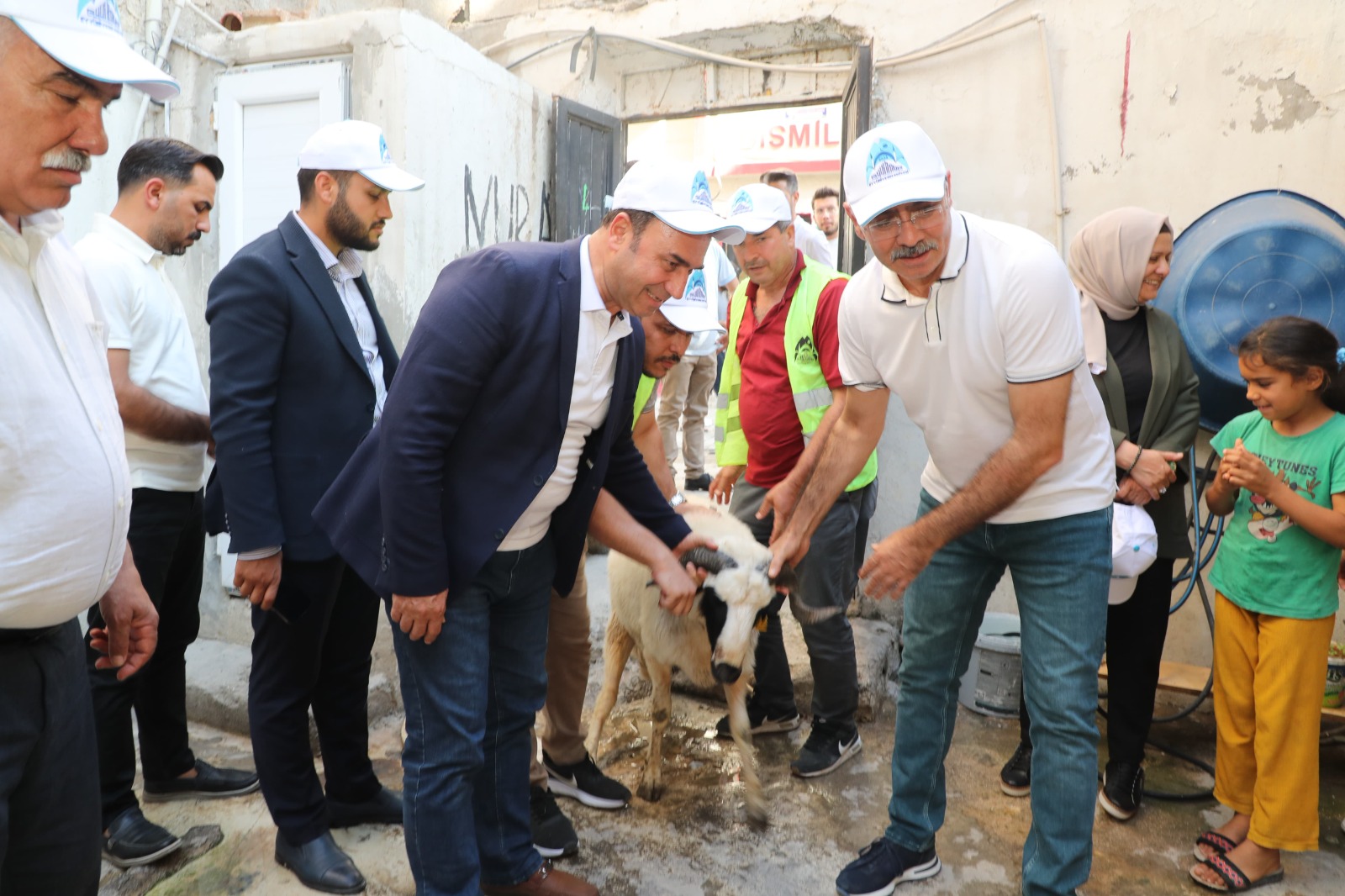 Yüzlerce yetim ailesine canlı kurbanlık dağıtıldı