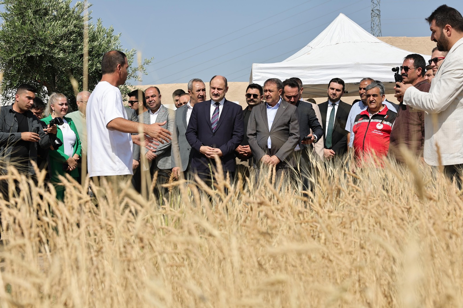 Urfa’da uluslararası buğday hasadı festivali başladı