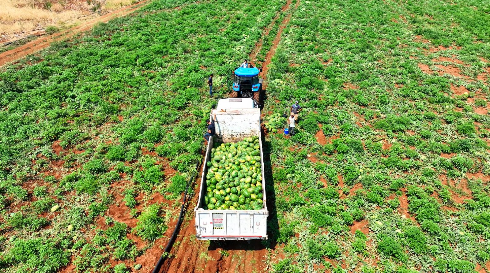 Urfa’da çiftçiye destek vatandaşa katkı