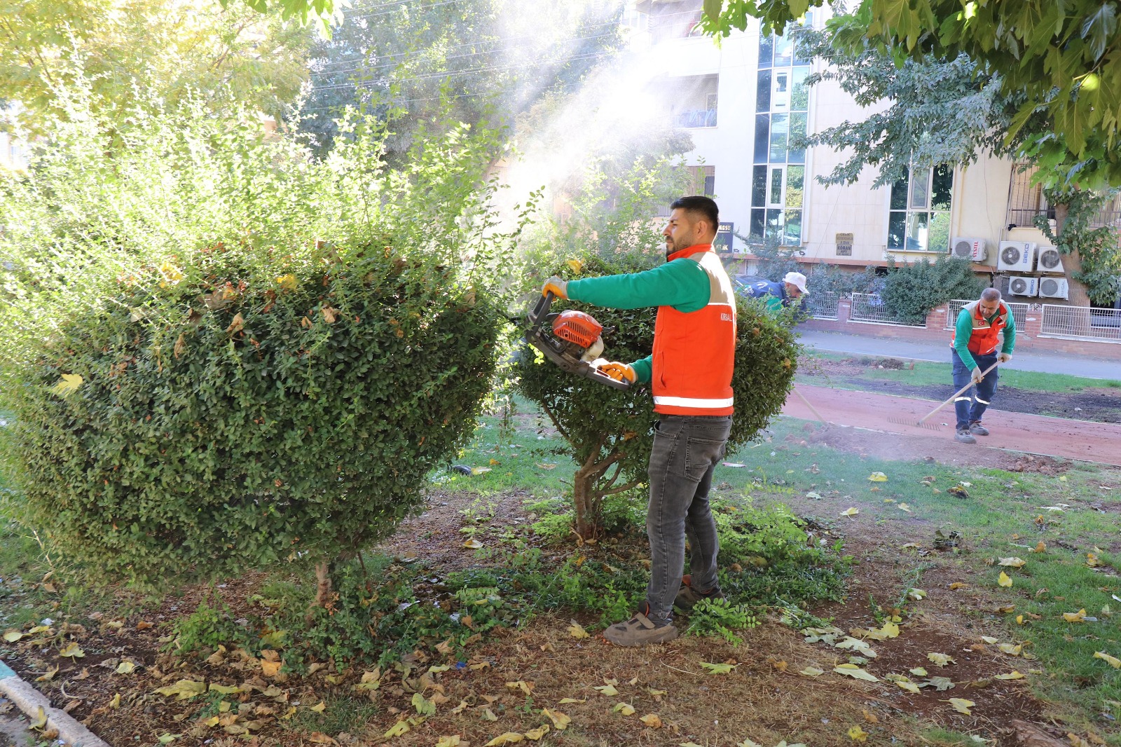 Haliliye’de yeşil dönüşüm