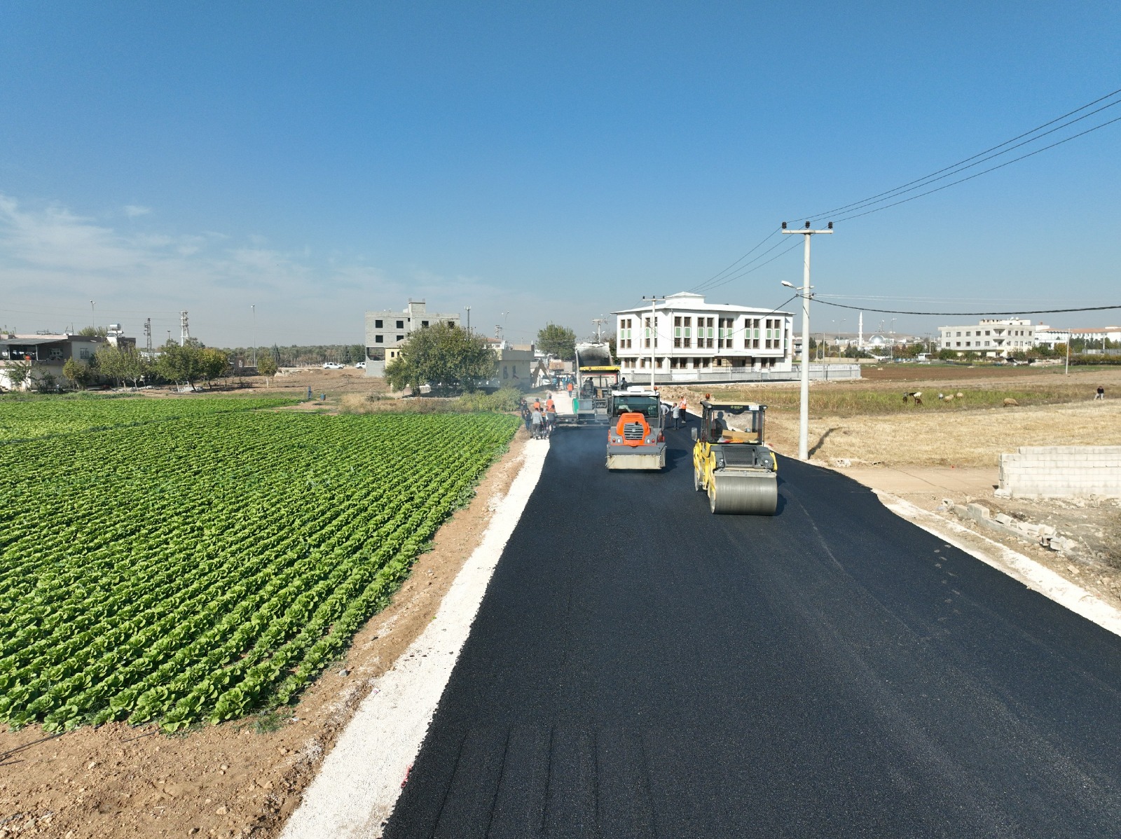 Ceylanpınar’da asfalt atağı devam ediyor