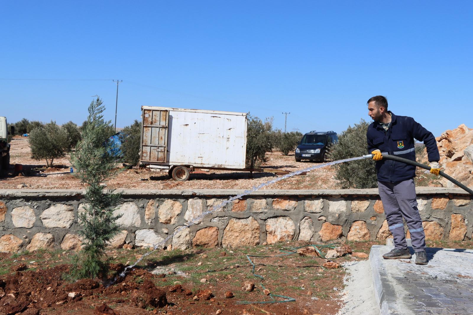 YUKARIGÖKLÜ KENT PARKI YEŞİLE BÜRÜNÜYOR