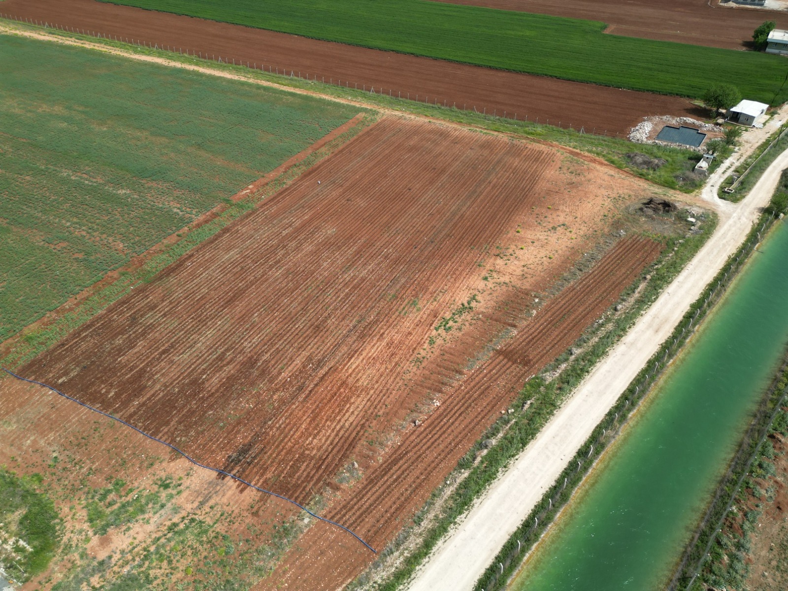 Ata tohumları toprakla buluştu