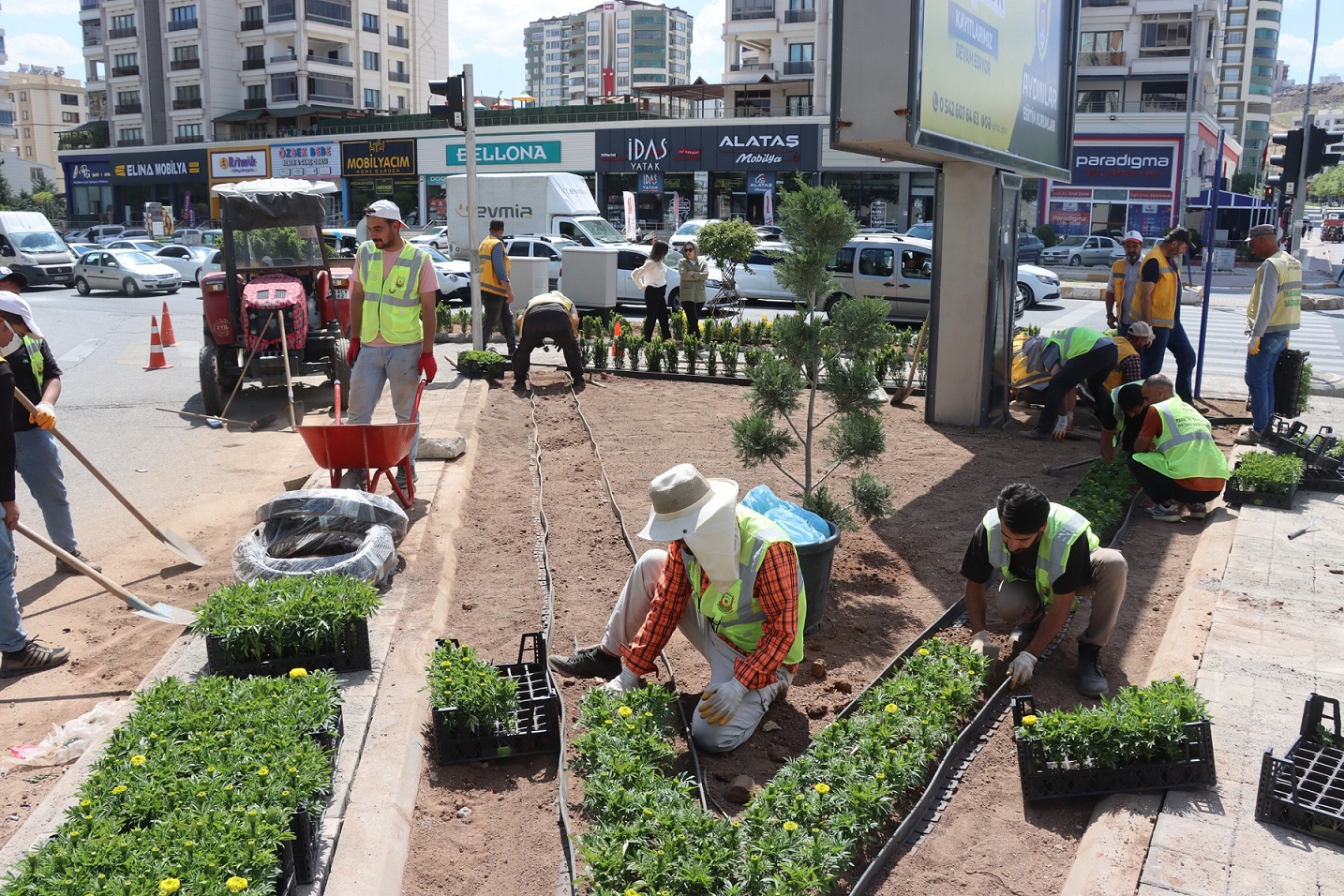 Şanlıurfa çiçek açacak