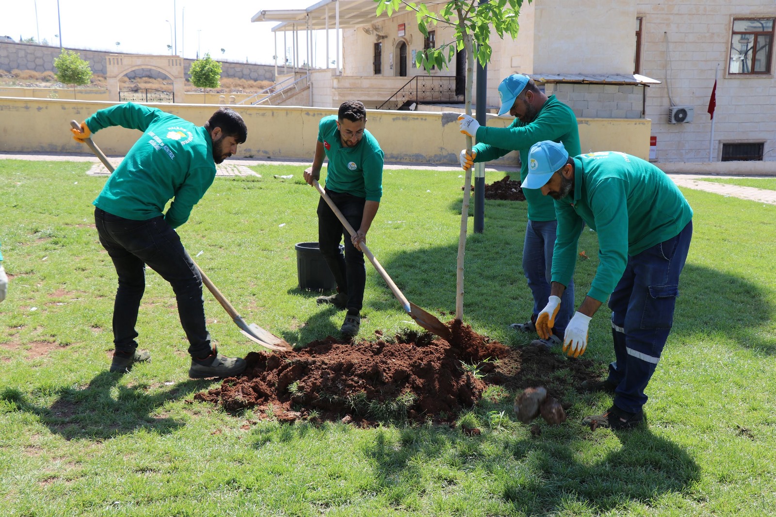 Haliliye’de yeşil alan yaşam kalitesini artırıyor