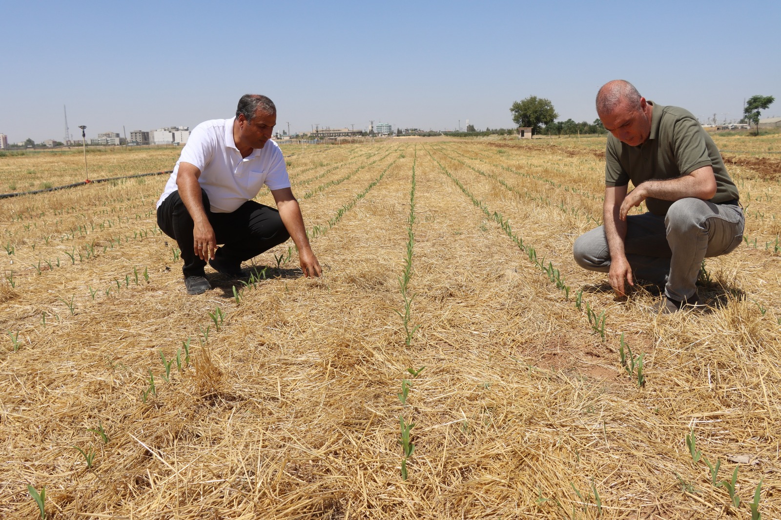 Suruç’a 427 milyon TL’lik dev yatırım!