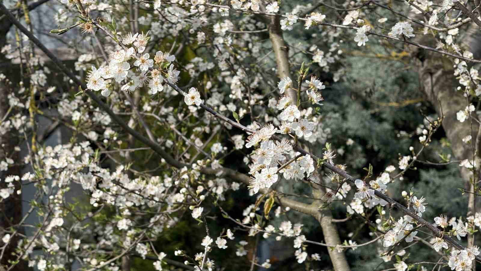 Baharın Habercisi Son Cemre Toprağa Düştü