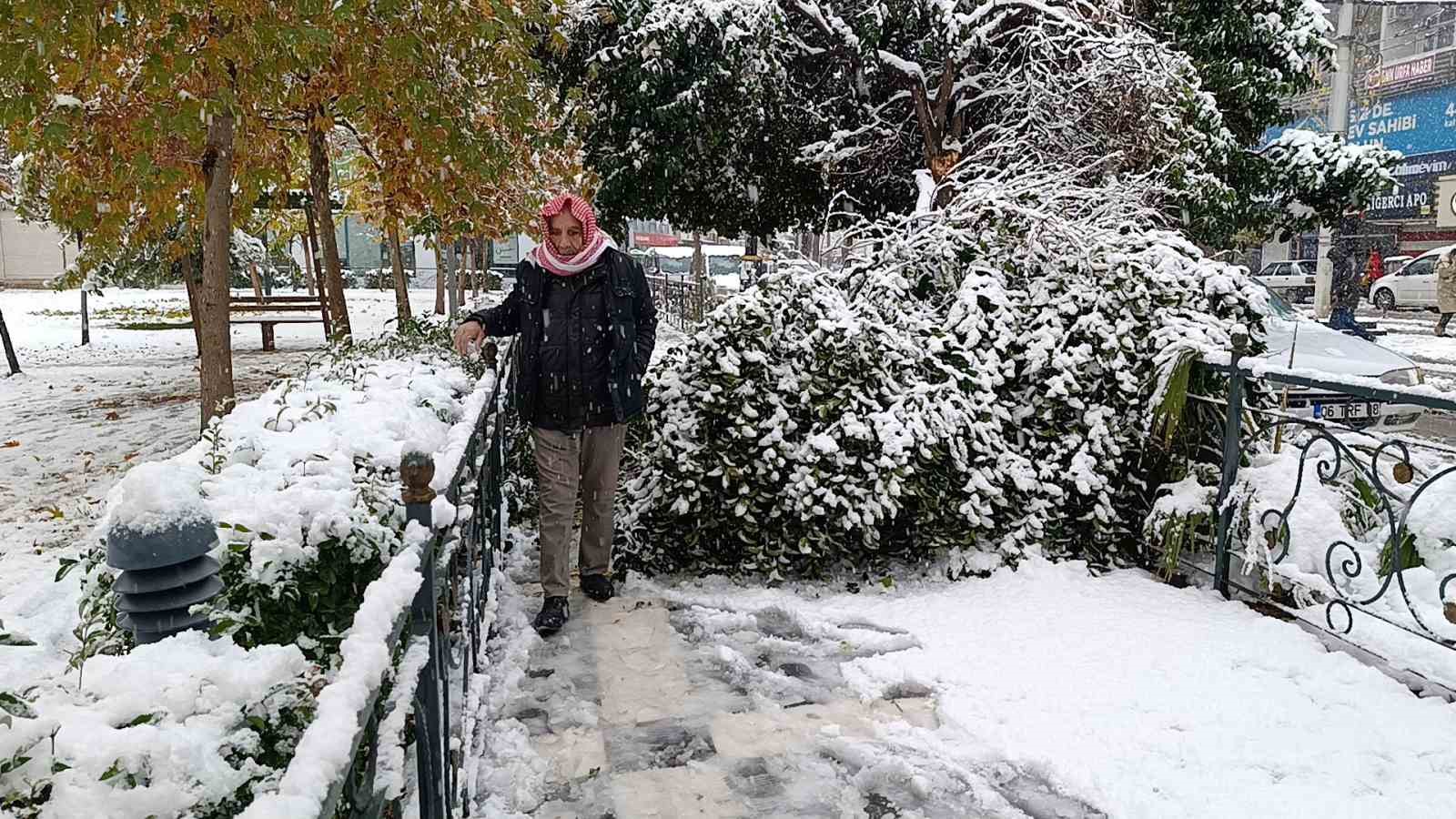 Şanlıurfa’da Ağaç Devrildi, Araçlar Yolda Kaldı