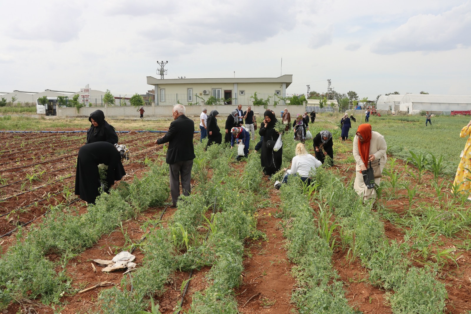 Urfa’da süs bitkisi yetiştiriciliği eğitimi