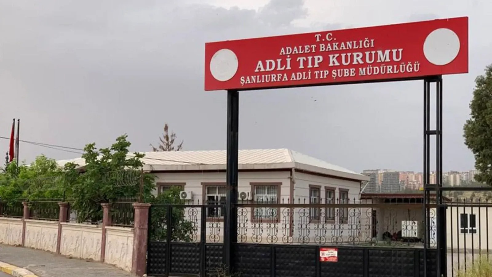 Urfa’da görüntü yürek dağladı! Ağaca asılı halde bulundu!