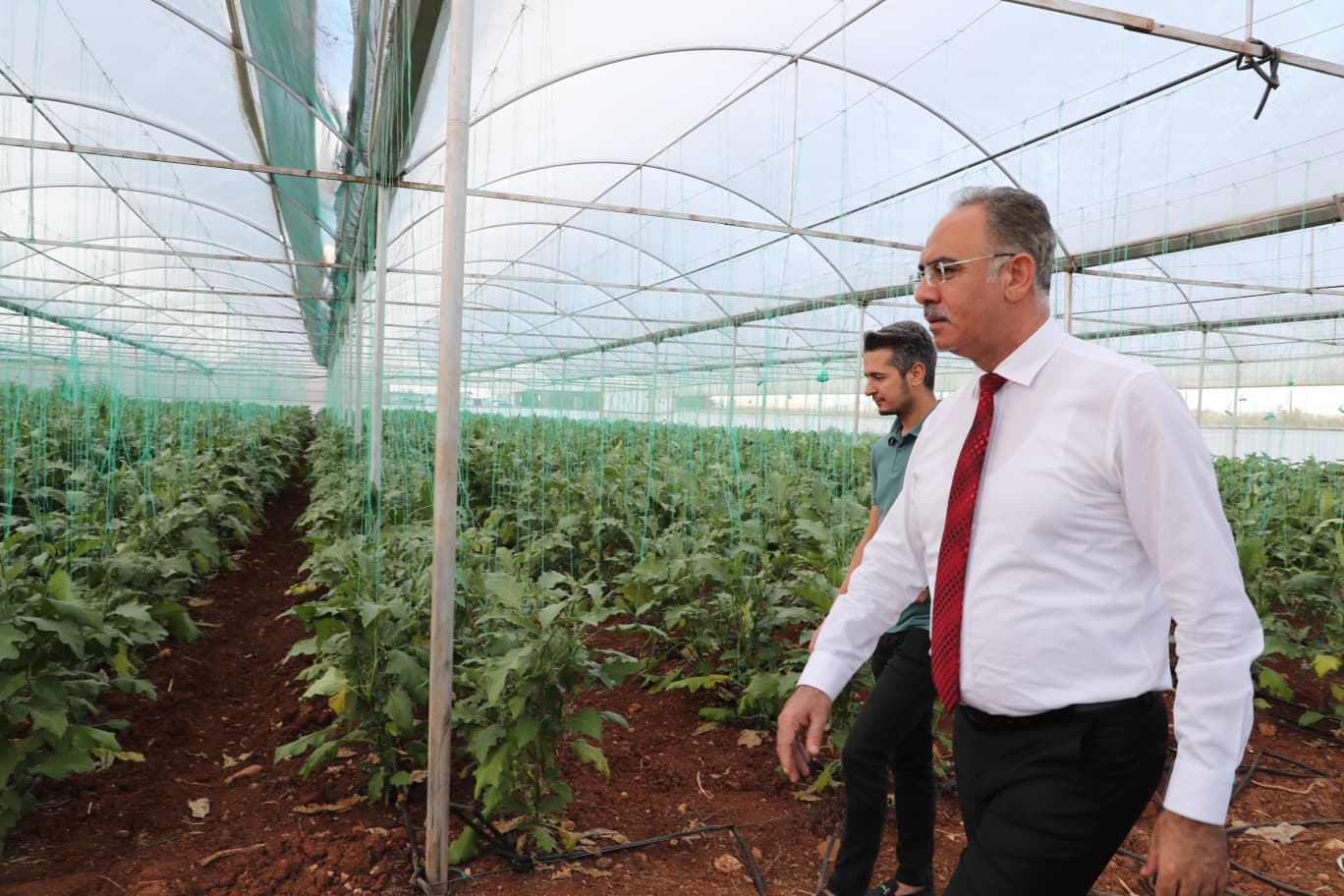 Sera kent üretiyor Eyyübiye kazanıyor