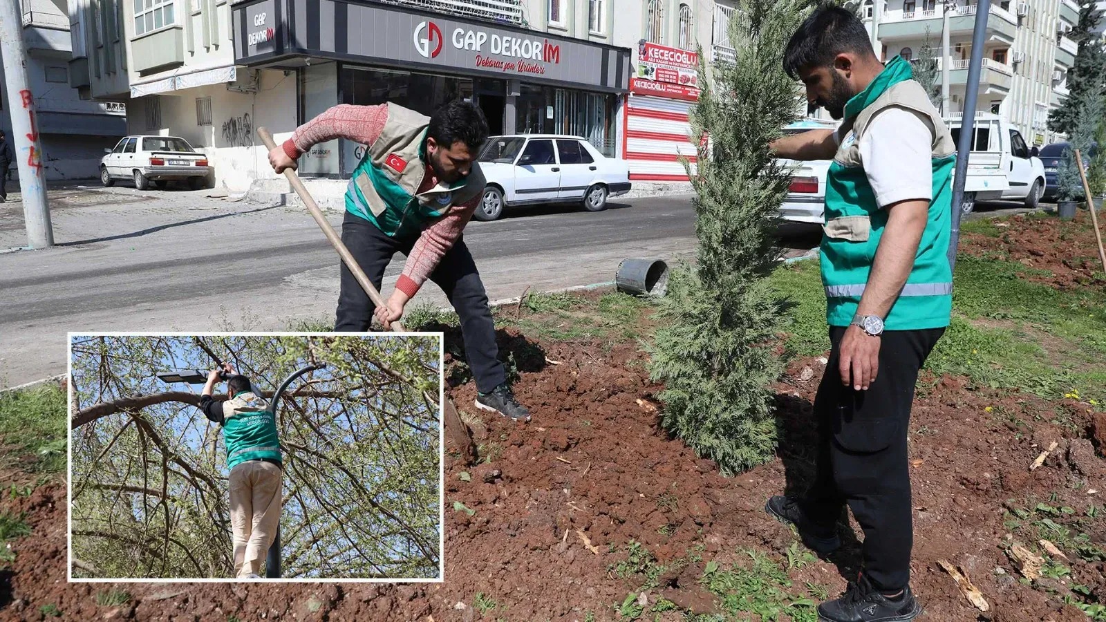 Haliliye’de yaz öncesi parklarda hummalı çalışma