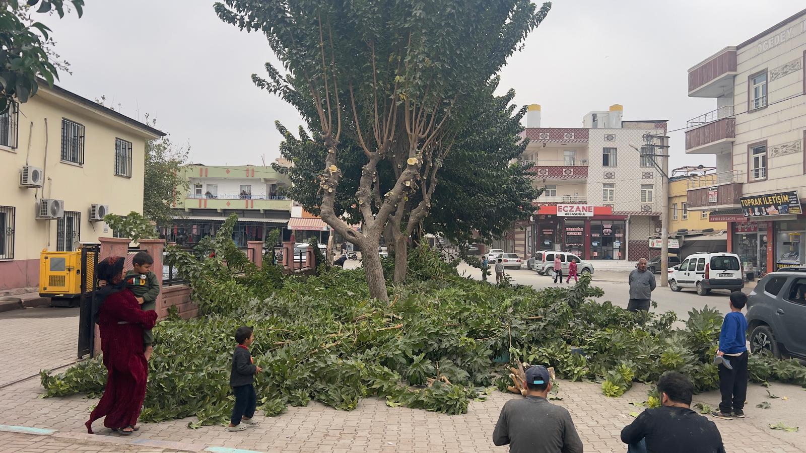 Yemyeşil Eyyübiye için çalışmalar sürüyor