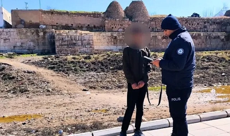 Tek tek bakıldı! Urfa'da yoğun denetimler!