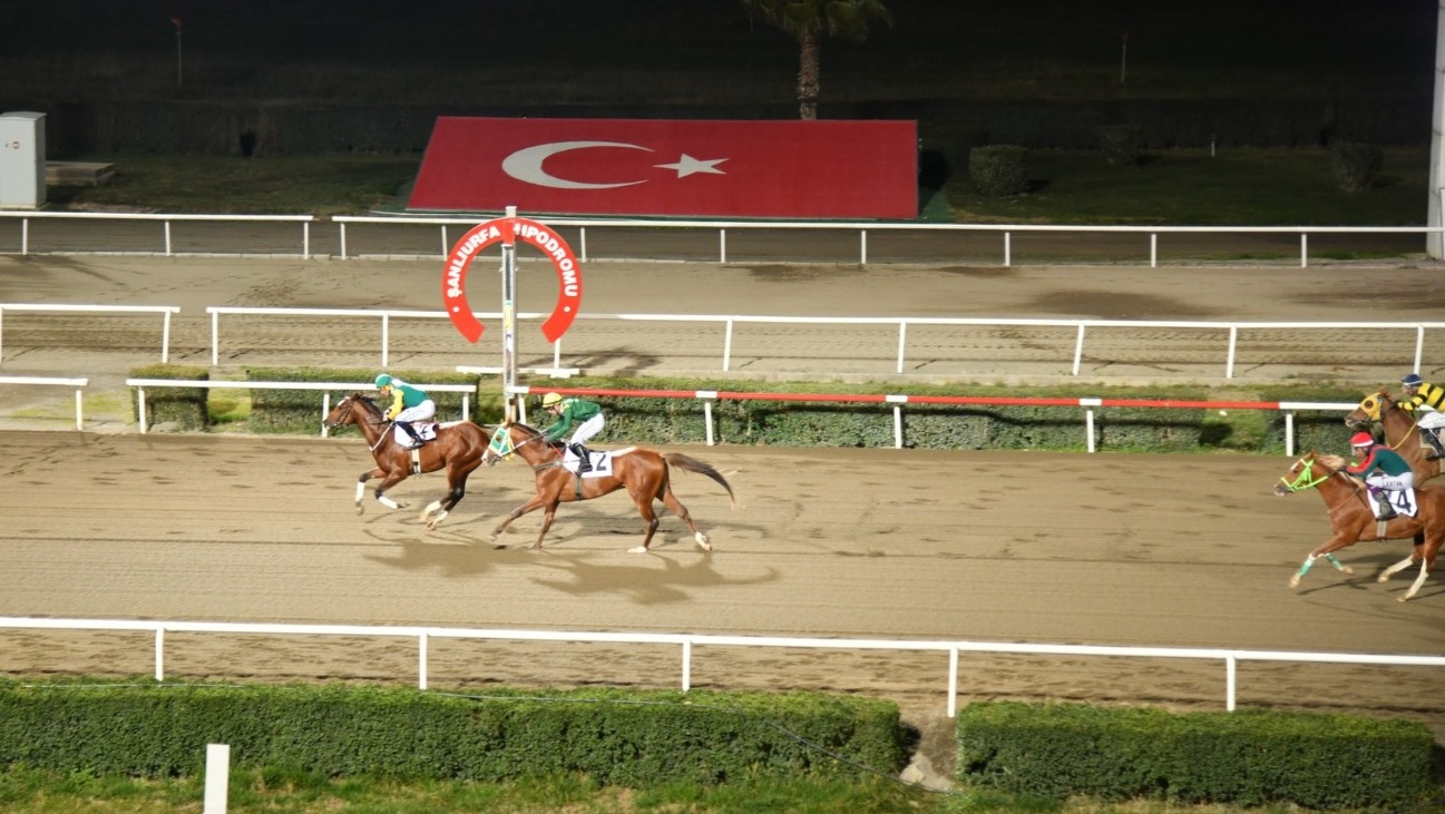 Urfa vali kupası koşusu tamamlandı