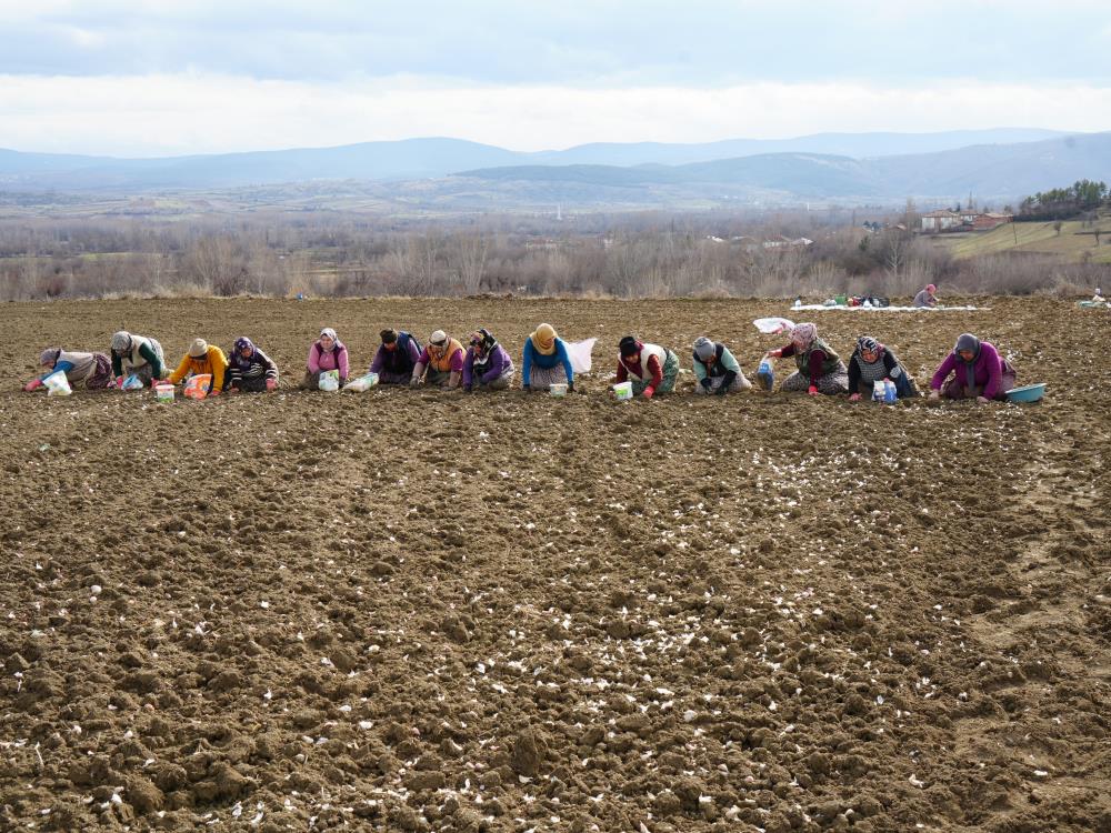 Bir Annenin fedakarlık dolu yolculuğu