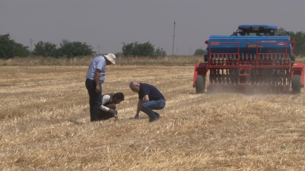 Şanlıurfa'da Anız Yangınlarına Çevreci Çözüm