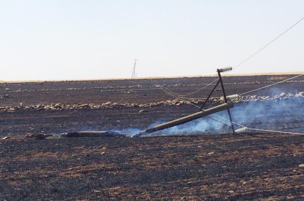 Şanlıurfa’da anız yangınlarının faturası ağır oldu