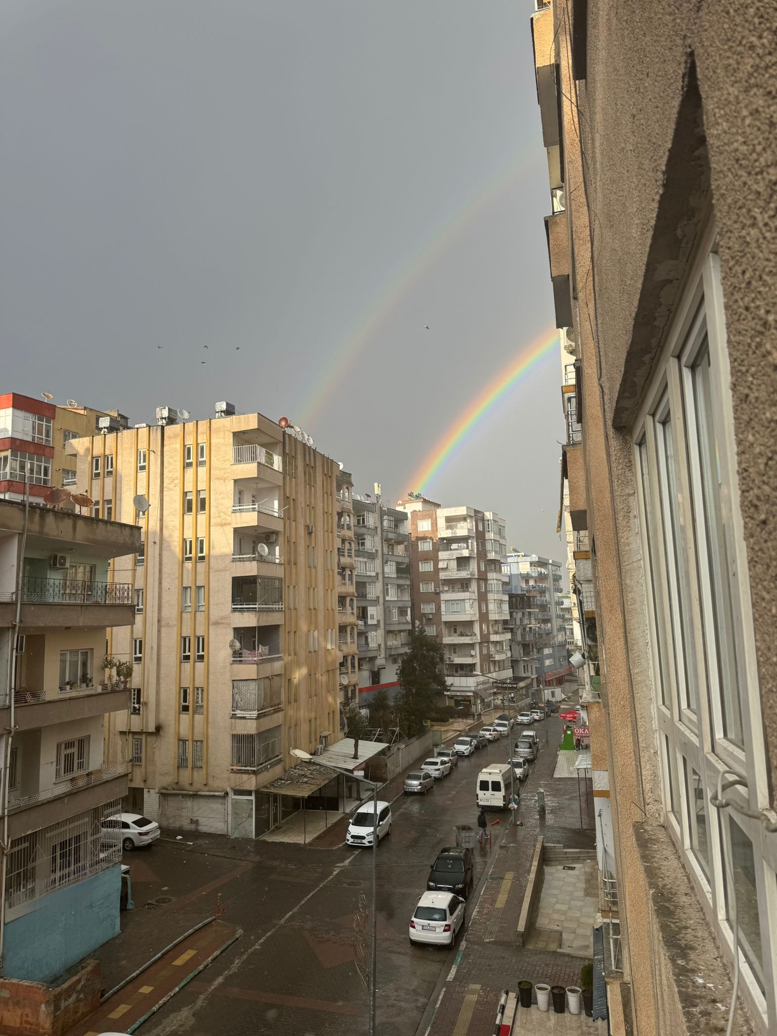Urfa'da bayramda hafızalara kazınan görüntü!