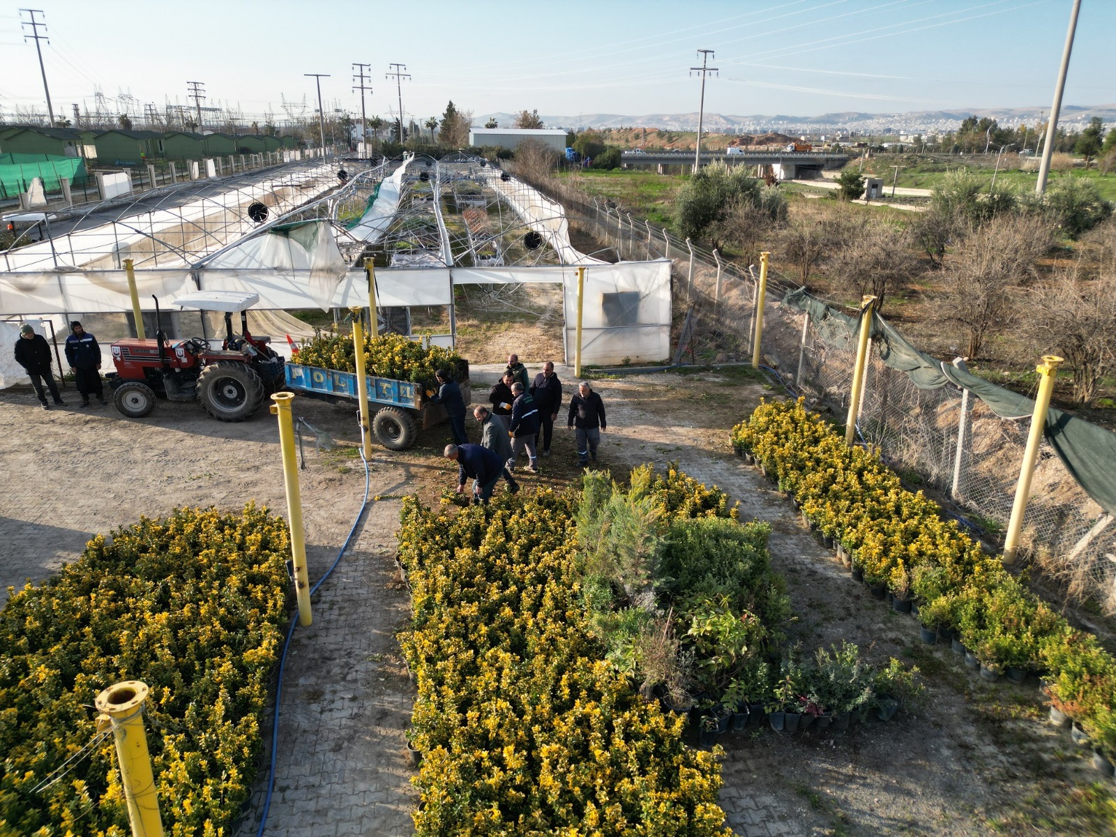 Büyükşehir, Ağaç Ve Bitki Dikimlerini Hızlandırdı