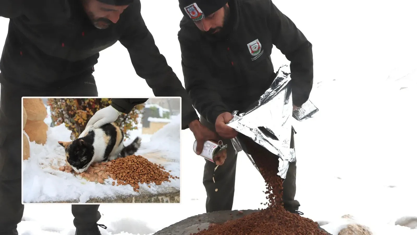 Şanlıurfa Büyükşehir Belediyesi can dostları unutmadı!