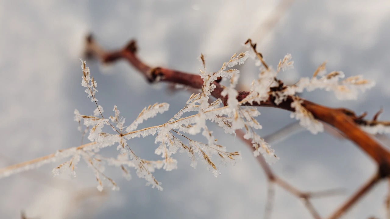 Destek çağrısı! Çiftçilerin mağduriyeti gündeme geldi!