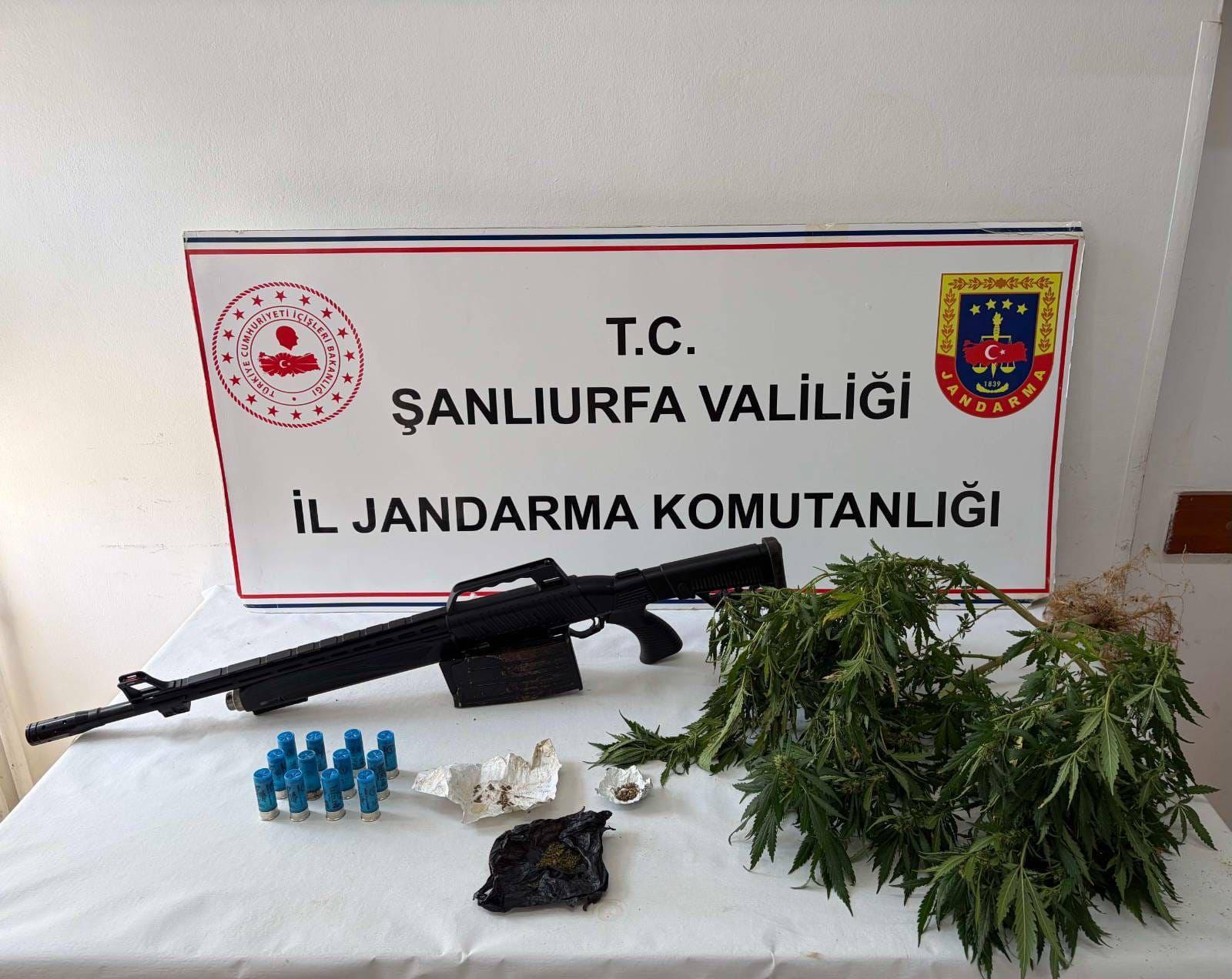 Jandarma Şanlıurfa’da düğmeye bastı! 3 ilçede operasyon
