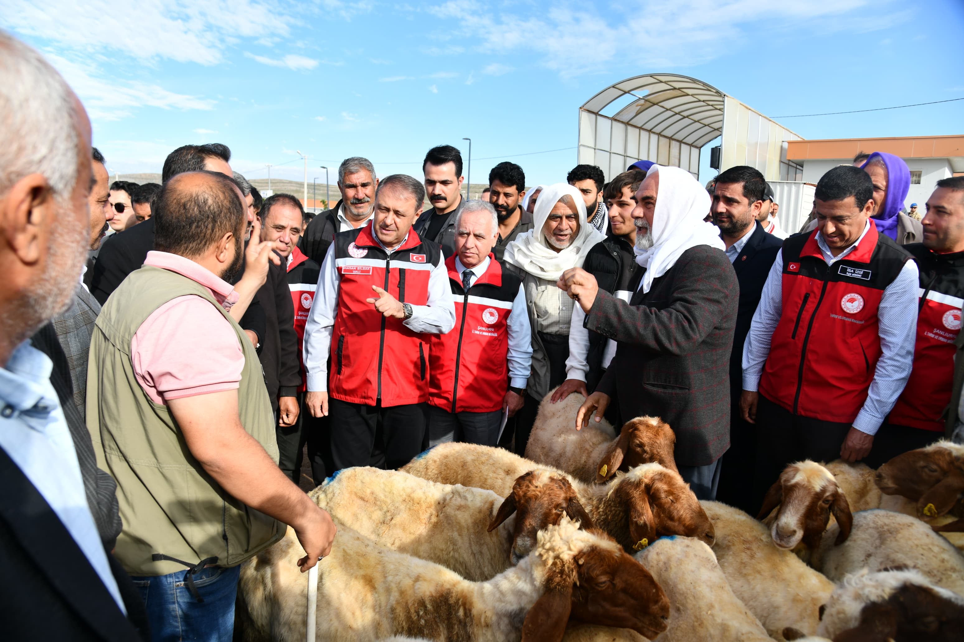 Vali Şıldak Canlı Hayvan Borsasını Ziyaret Etti